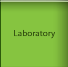 laboratory, orthopedic supply